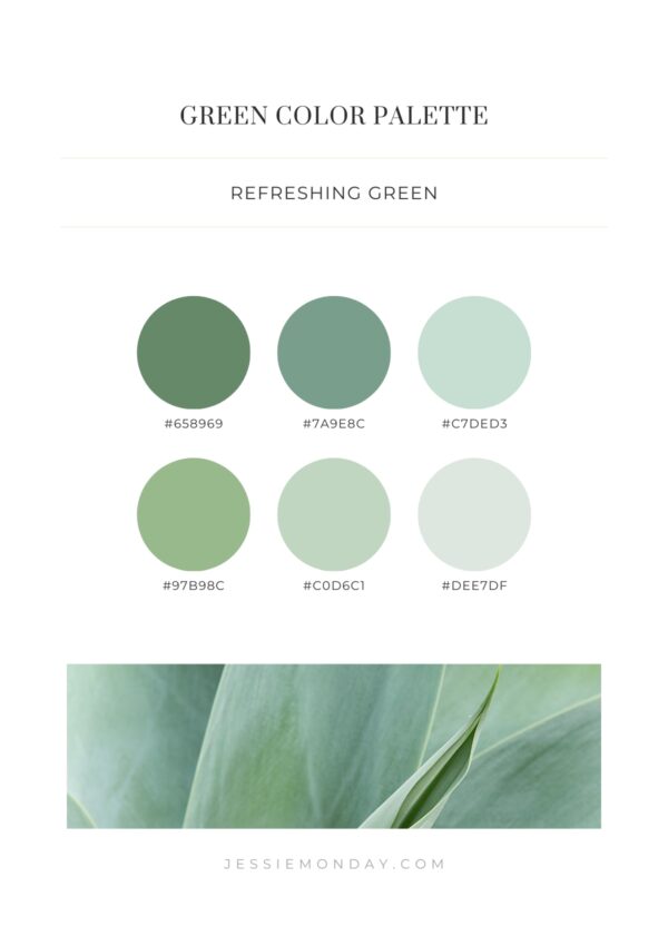 Green color palette inspiration - Jessie Monday