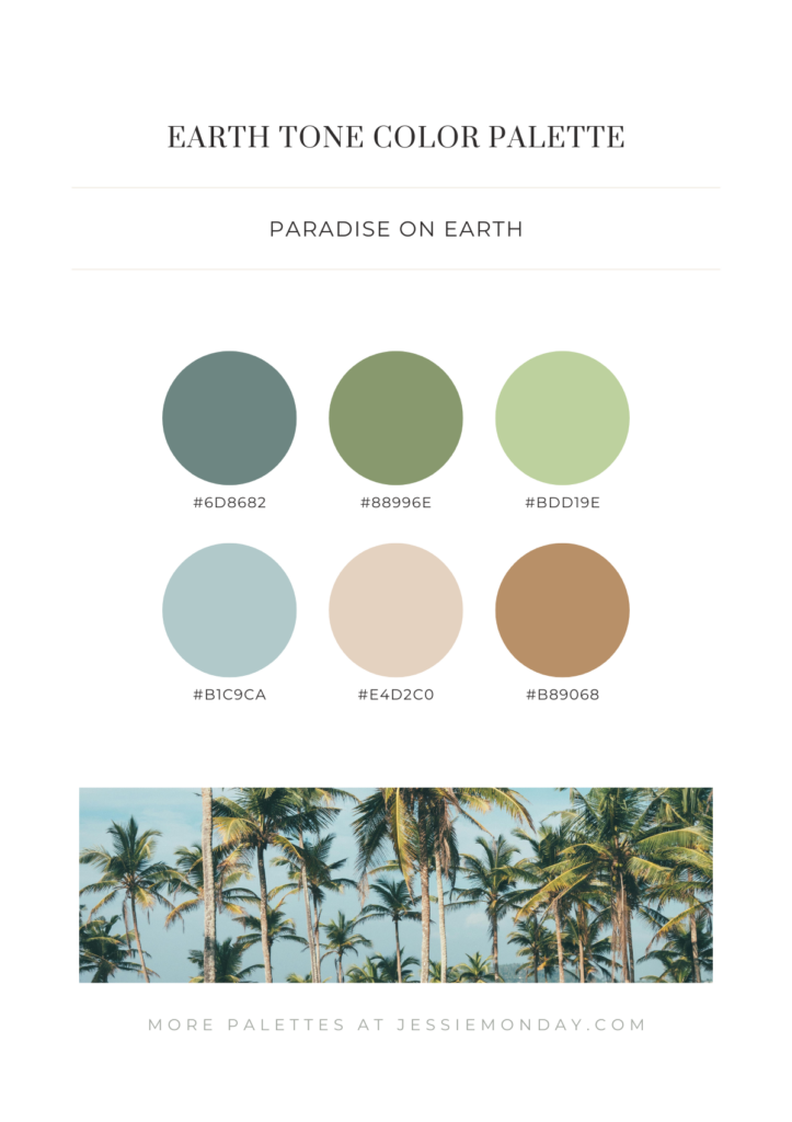 Earth tone color palettes