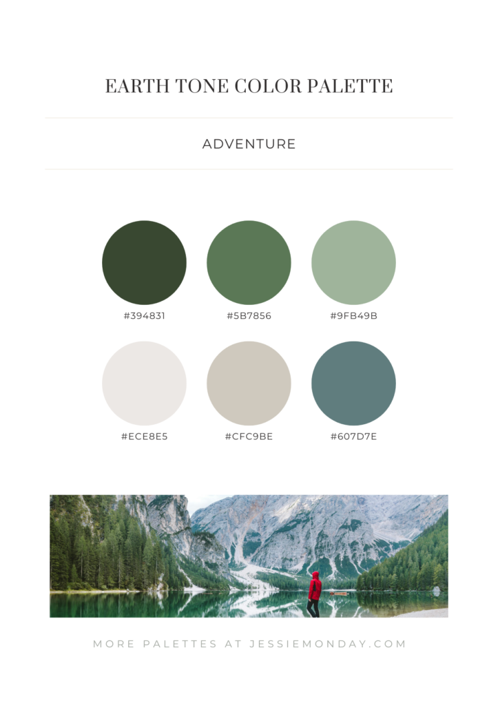 Earth tone color palette