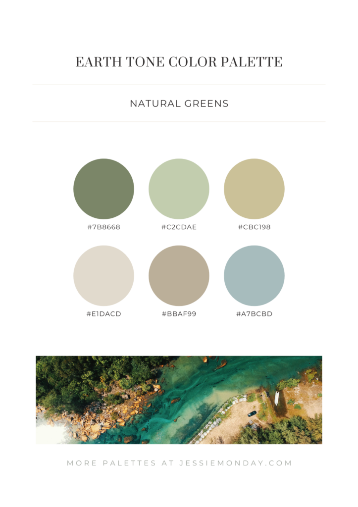 Natural earth tone color palette inspiration