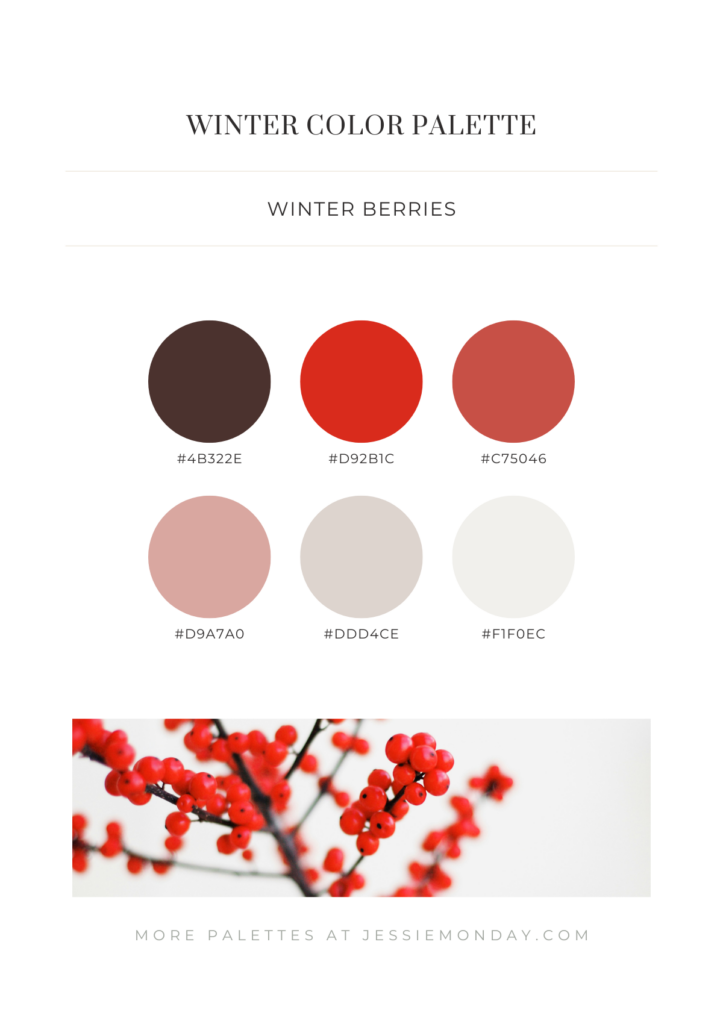 red winter color palette