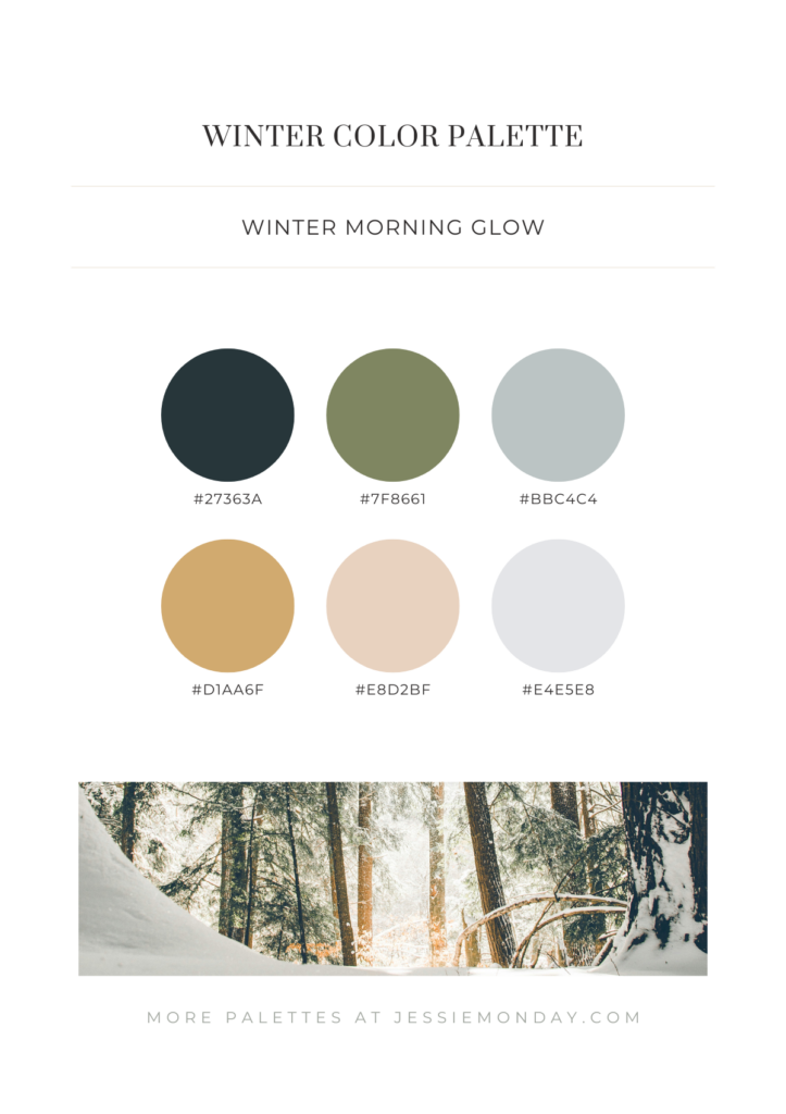 winter color palette inspiration